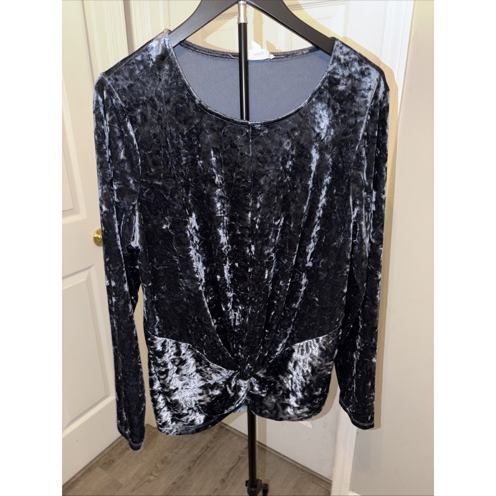Pleione Womens Long Sleeve Blue Crushed Velvet Velour Top Size Large Holiday EUC